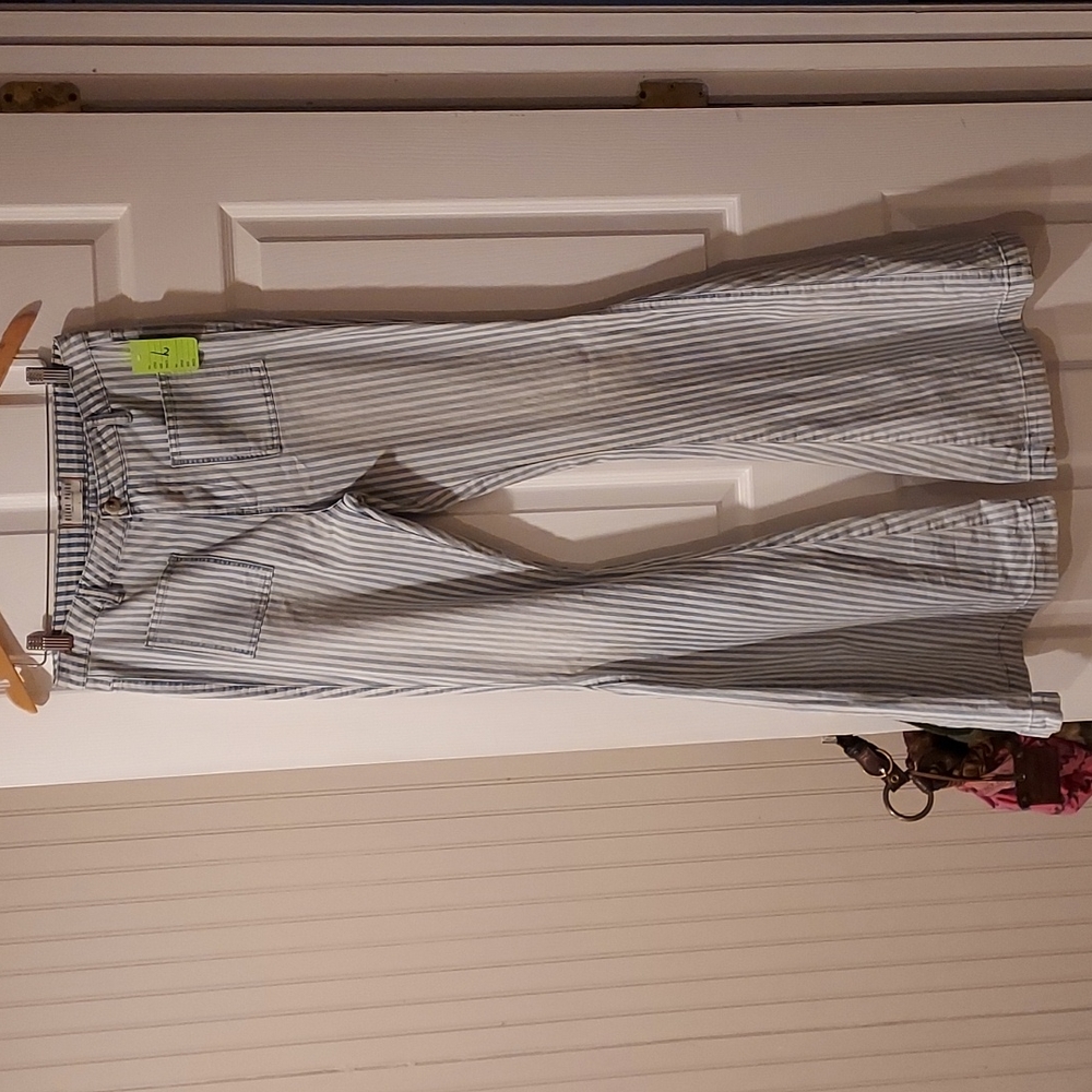 Women's Blank Paige Washed Out Extra Wide Bottom Striped Pants Size L